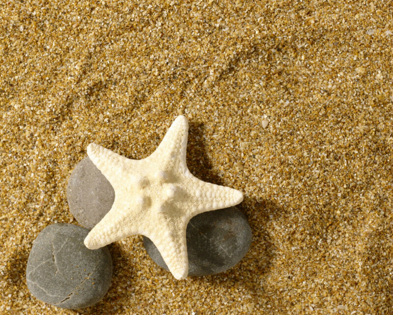 Starfish on Sand — Beige, Serene, Photograph