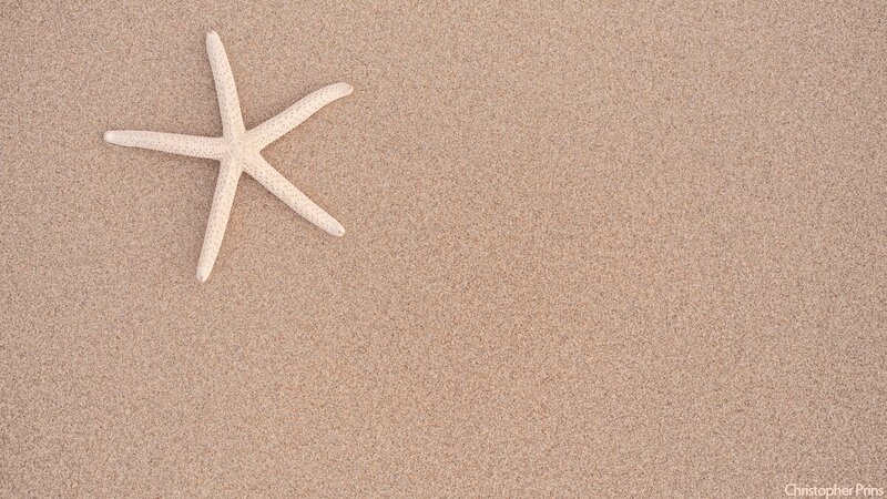Starfish on Sand — Beige, Serene, Photograph, White