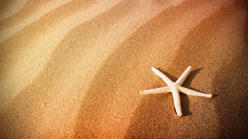 Starfish on Sand — Brown, Serene, Afternoon