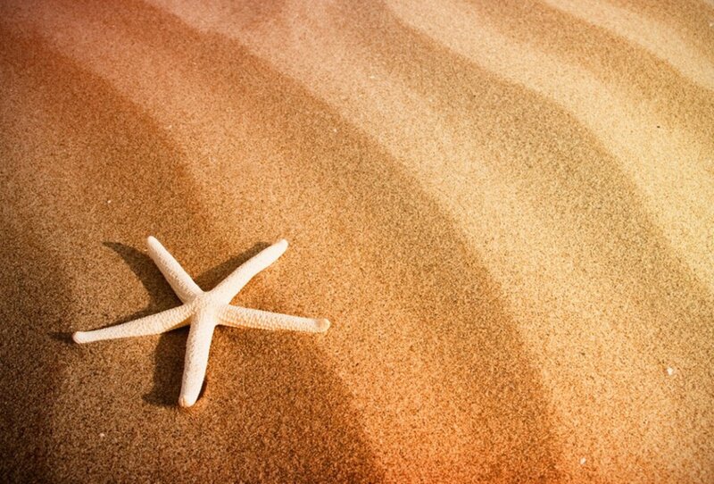Starfish on Sand — Brown, Serene