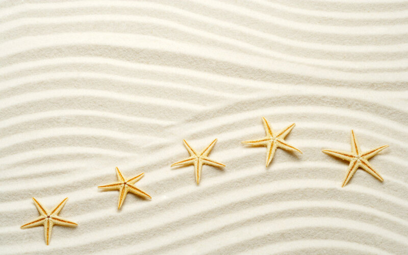 Starfish on Sand — White