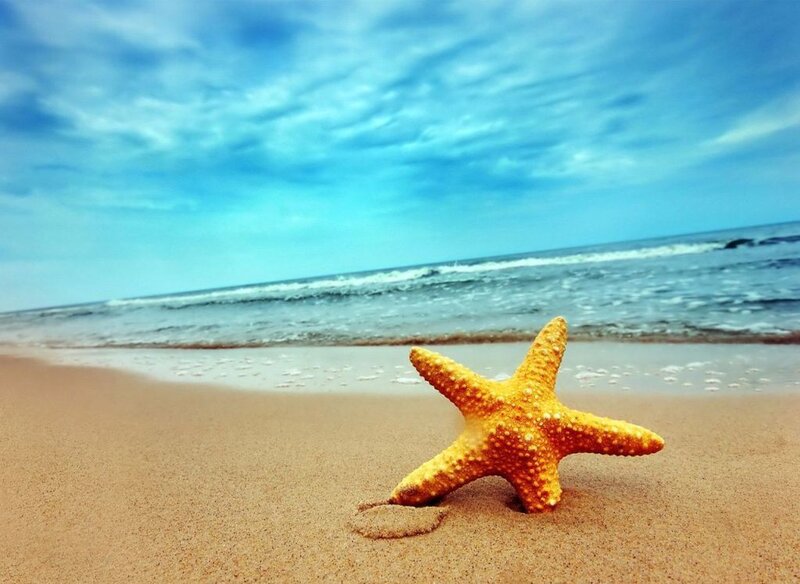 starfish on sandy beach