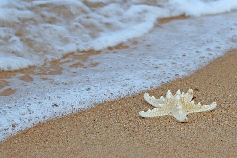Starfish on Sandy Beach — Beige, Calm