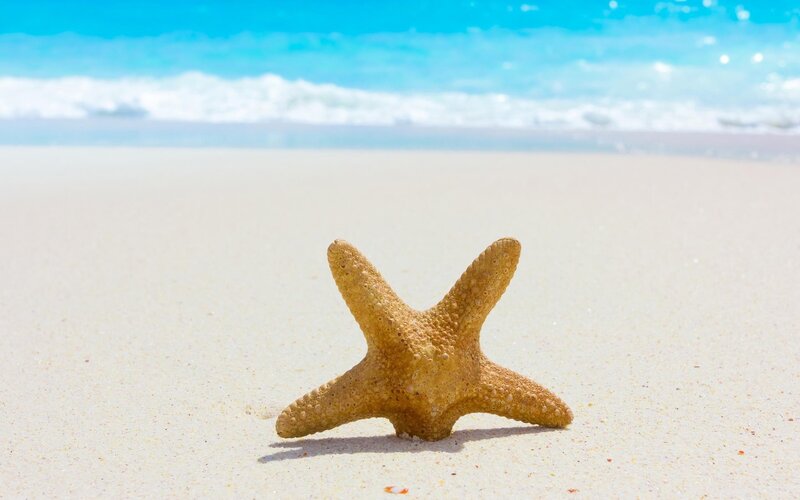 Starfish on Sandy Beach — Beige, Serene, Afternoon, Photograph, Sand, Ocean, Waves