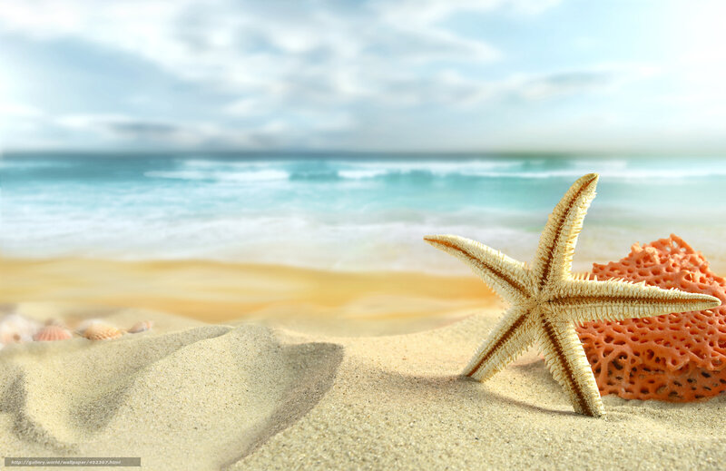 Starfish on Sandy Beach — Beige, Serene, Afternoon, Photograph, Seashells, Coral