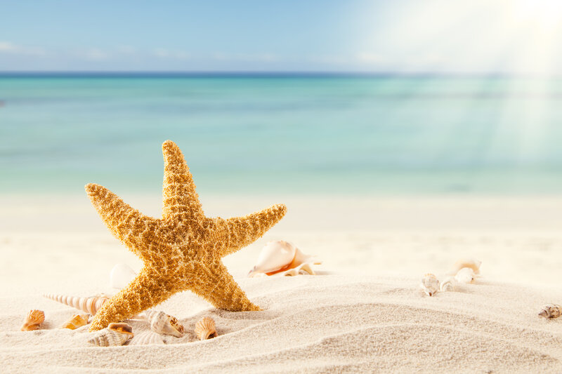 Starfish on Sandy Beach — Beige, Serene, Afternoon, Photograph, Seashells, Sand