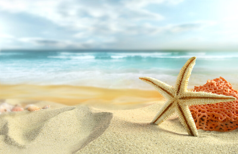 Starfish on Sandy Beach — Beige
