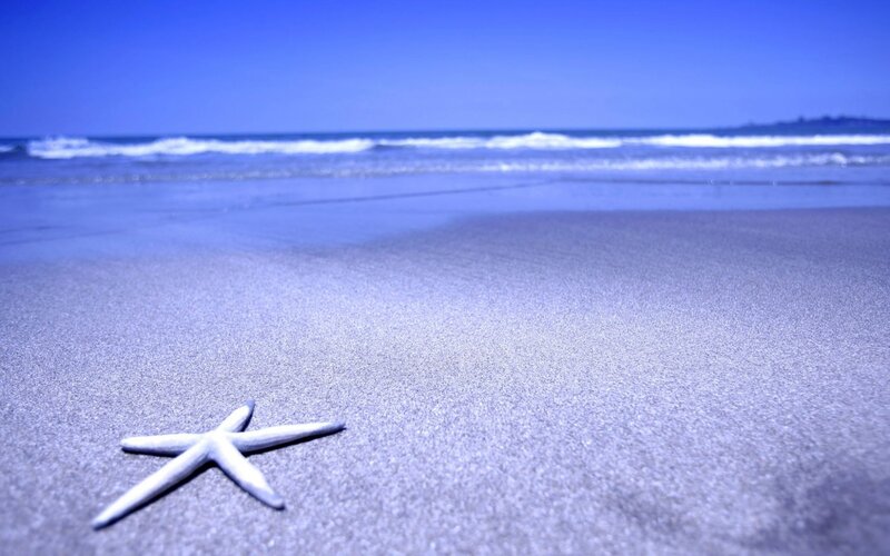 Starfish on Sandy Beach — Blue, Serene, Afternoon, Photograph, Sand, Ocean, Sky