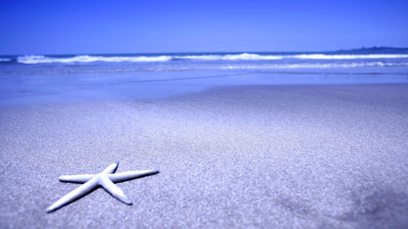 Starfish on Sandy Beach — Blue, Serene, Afternoon