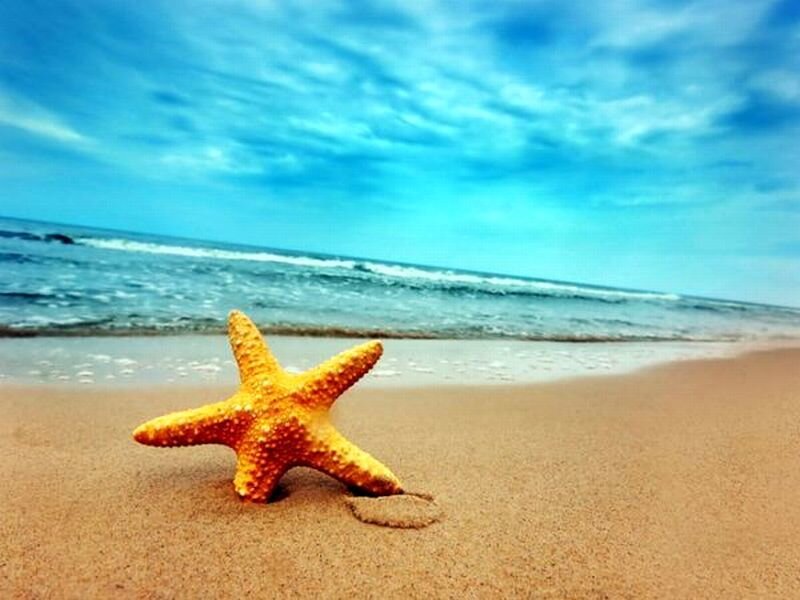 Starfish on Sandy Beach — Blue, Serene