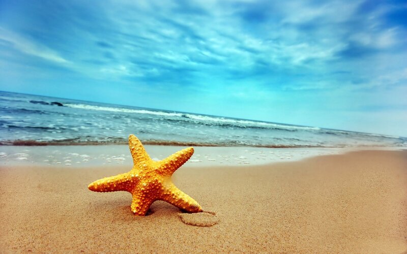 Starfish on Sandy Beach — Blue