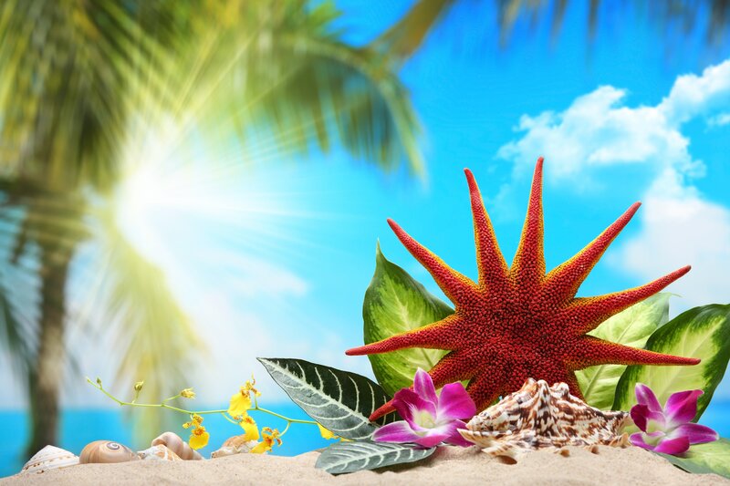Starfish on Sandy Beach — Blue, Tropical
