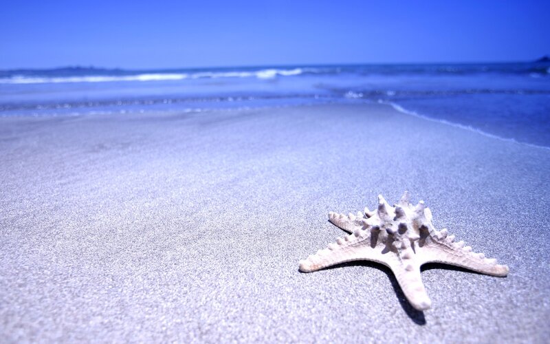 Starfish on Sandy Beach — Sand