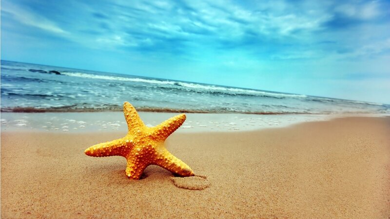 Starfish on Sandy Beach — Yellow, Serene, Afternoon, Photograph, Sand, Ocean, Sky