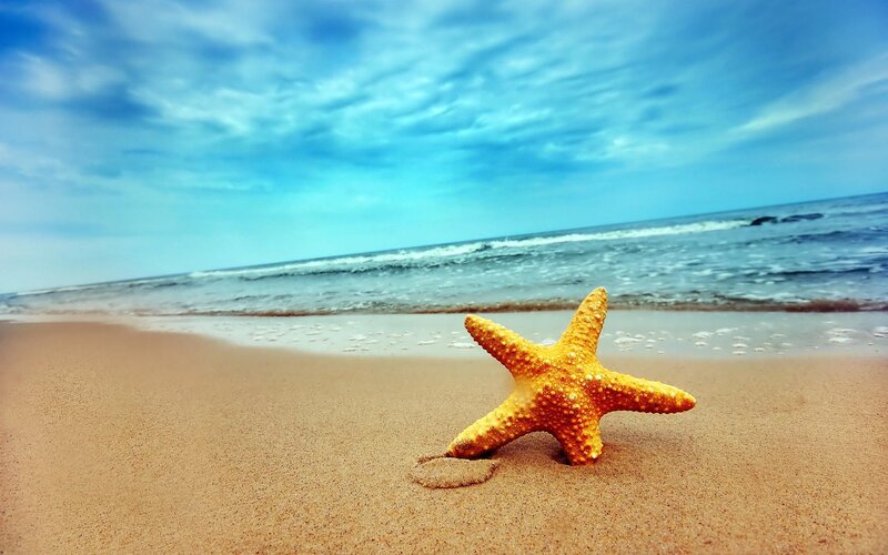 Starfish on Sandy Beach — Yellow, Serene, Afternoon, Photograph, Sand