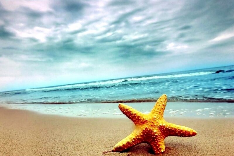 Starfish on Sandy Beach — Yellow, Serene, Afternoon