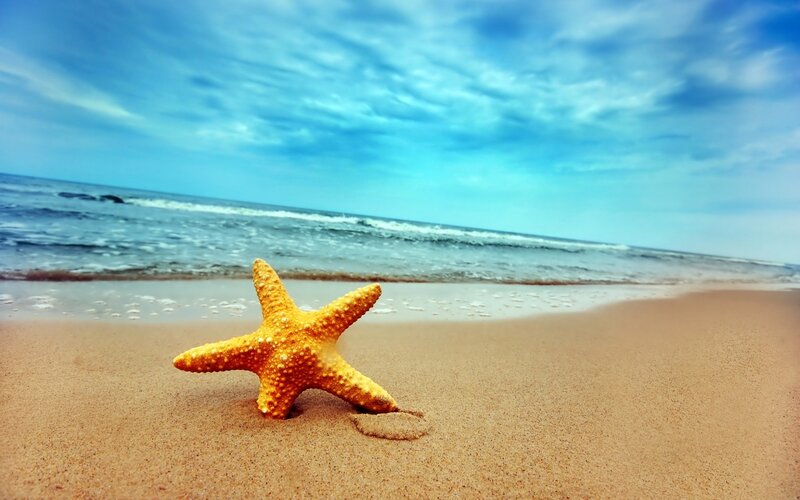 Starfish on Sandy Beach — Yellow, Serene