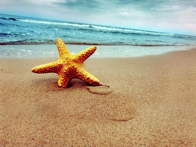 Starfish on Sandy Beach — Yellow