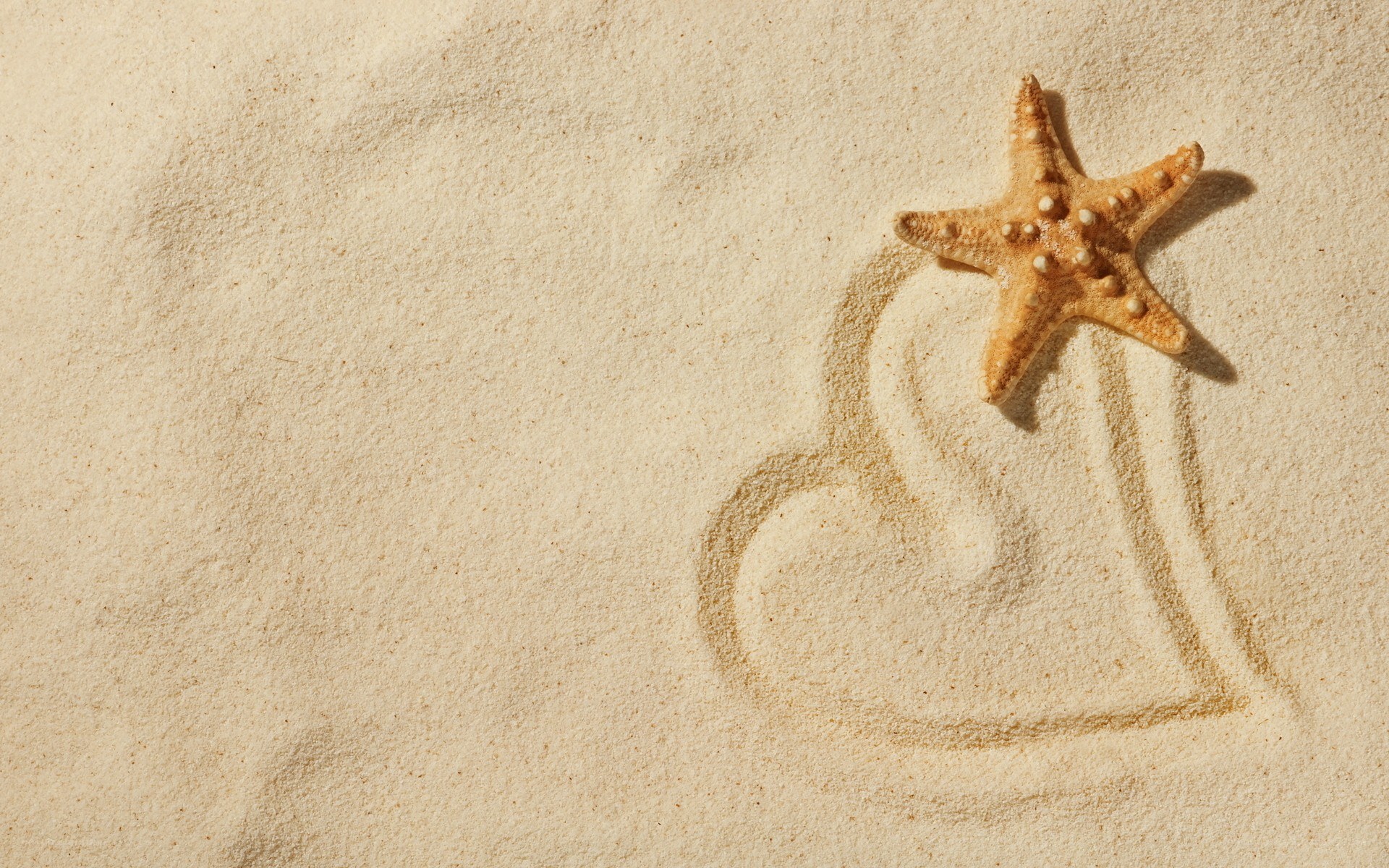 starfish on sandy heart