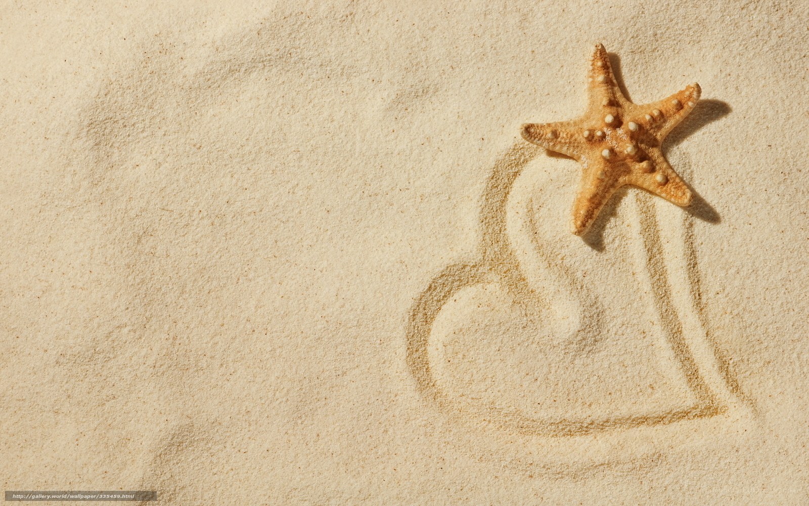 Starfish on sandy heart