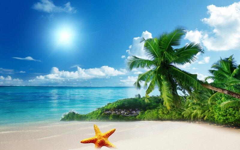 Starfish on Tropical Beach — Blue