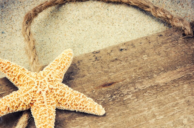 Starfish on Wood