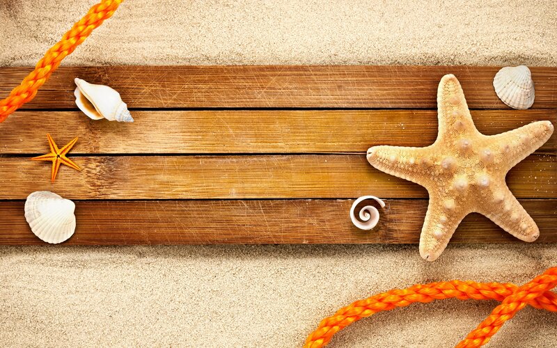 Starfish on Wooden Plank