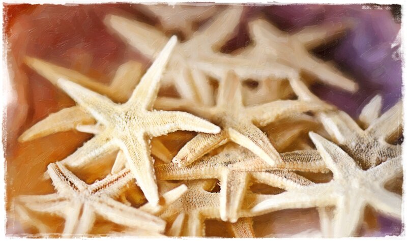 Starfish Pile