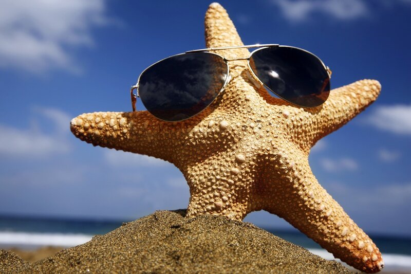starfish wearing sunglasses