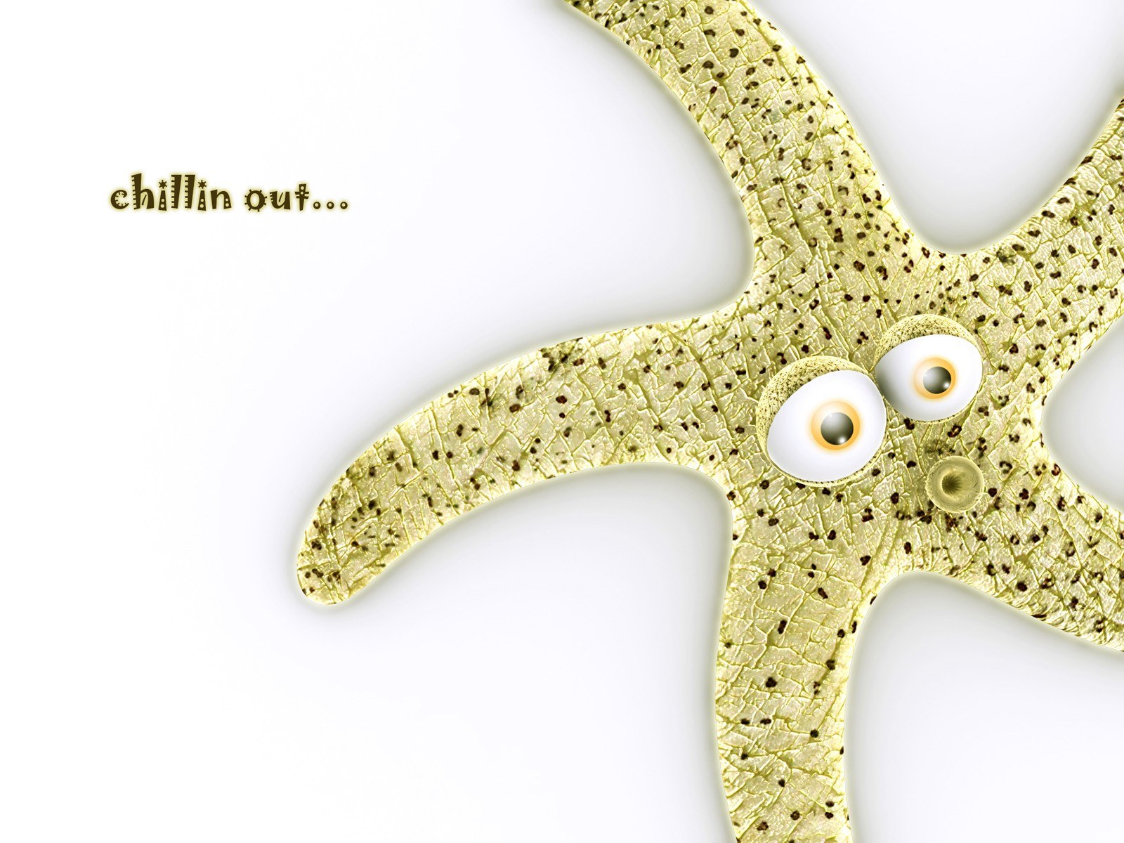 starfish with eyes