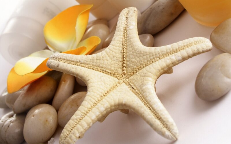 starfish with pebbles and flower