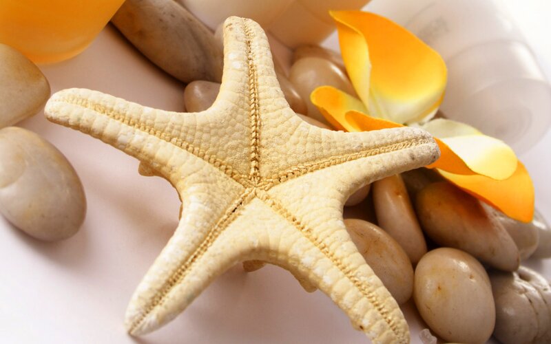 Starfish with Pebbles