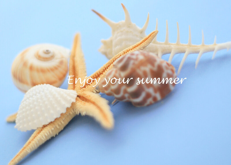 Starfish with Seashells — Blue