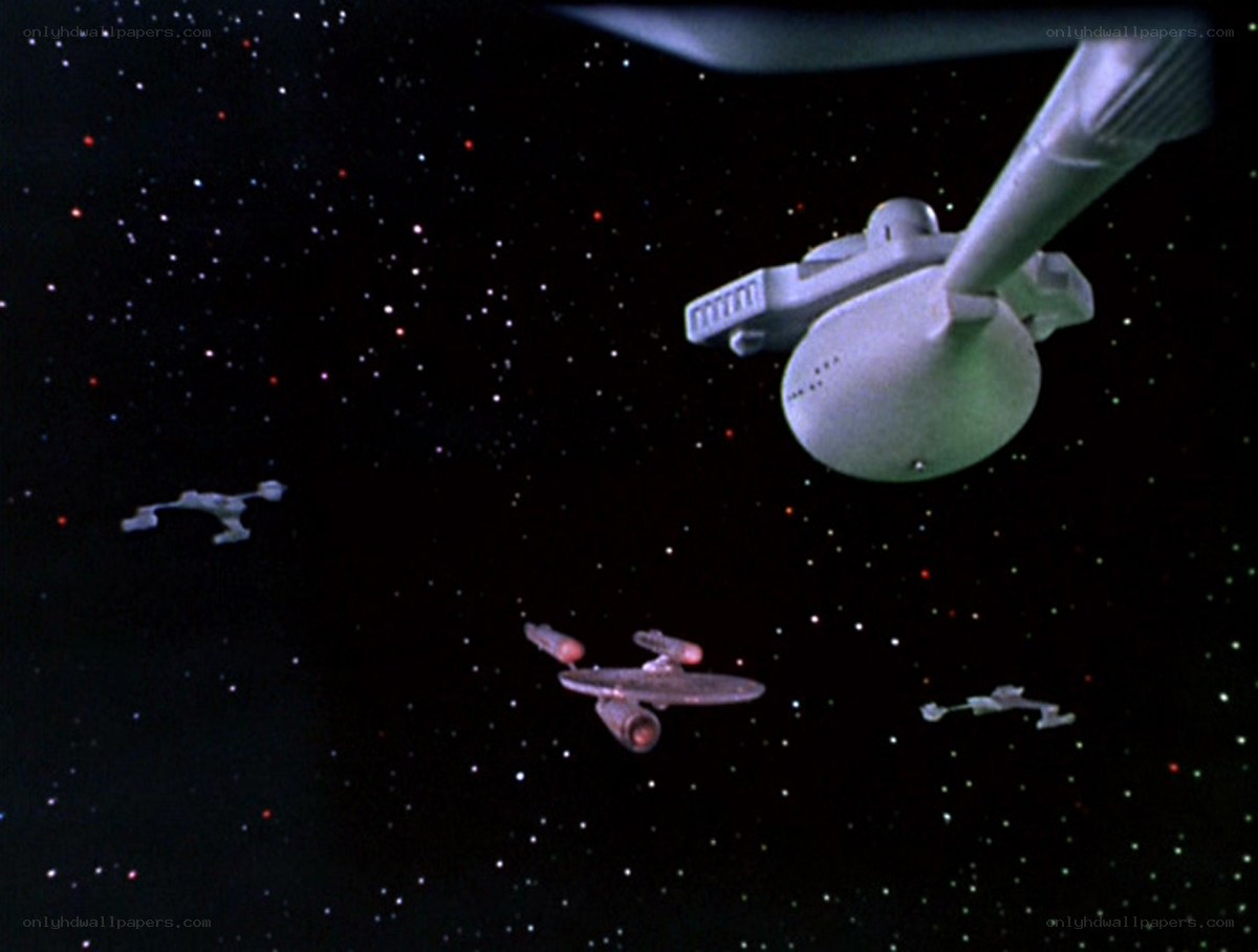Starfleet ships in space