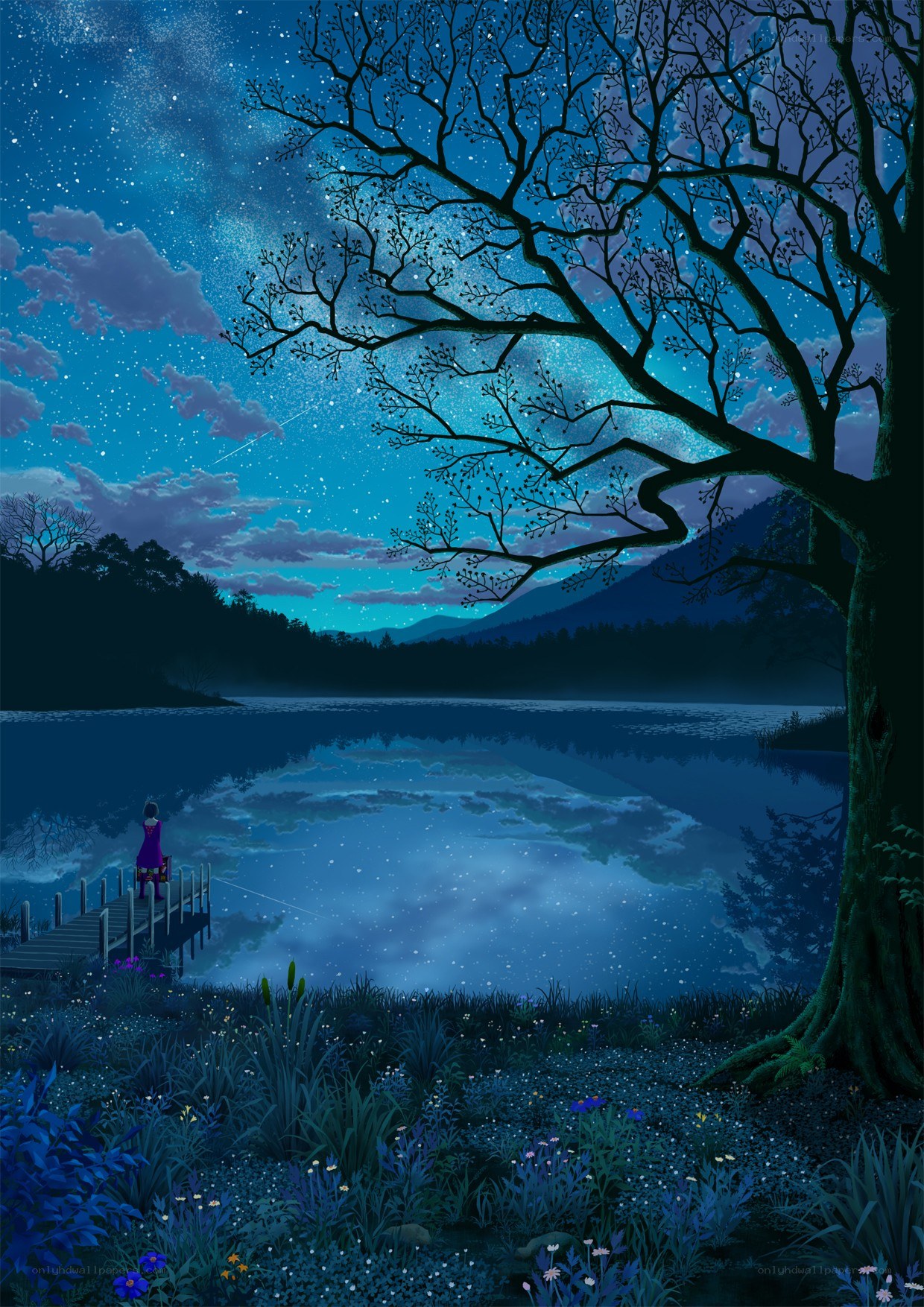 Stargazing by the lake
