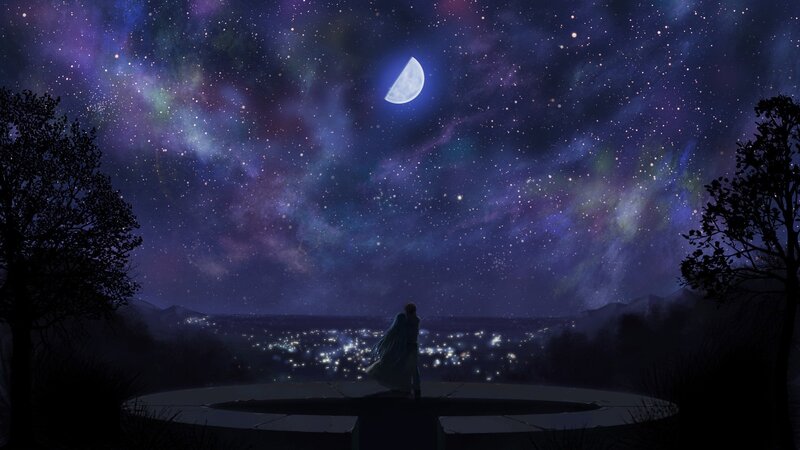 Stargazing couple at night