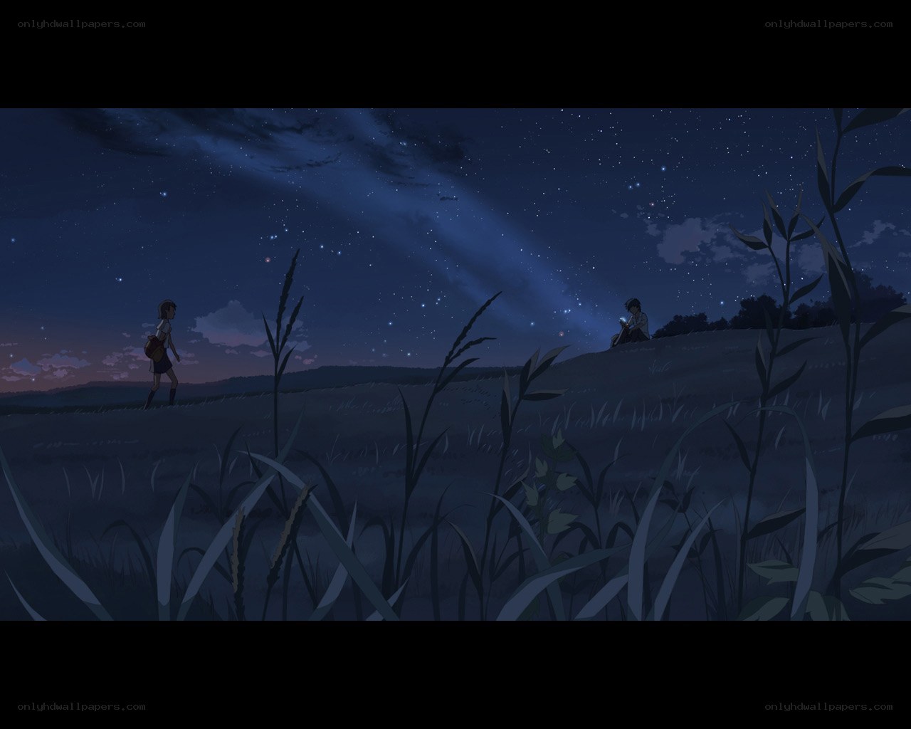 Stargazing in a quiet field