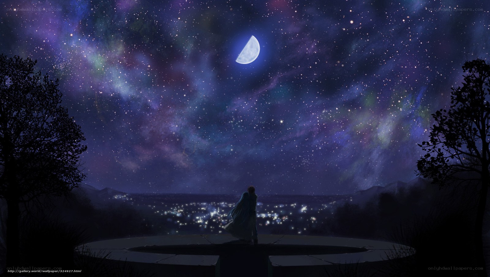 Stargazing on a moonlit night
