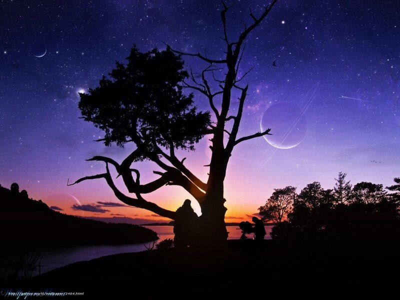 Stargazing under a starry sky