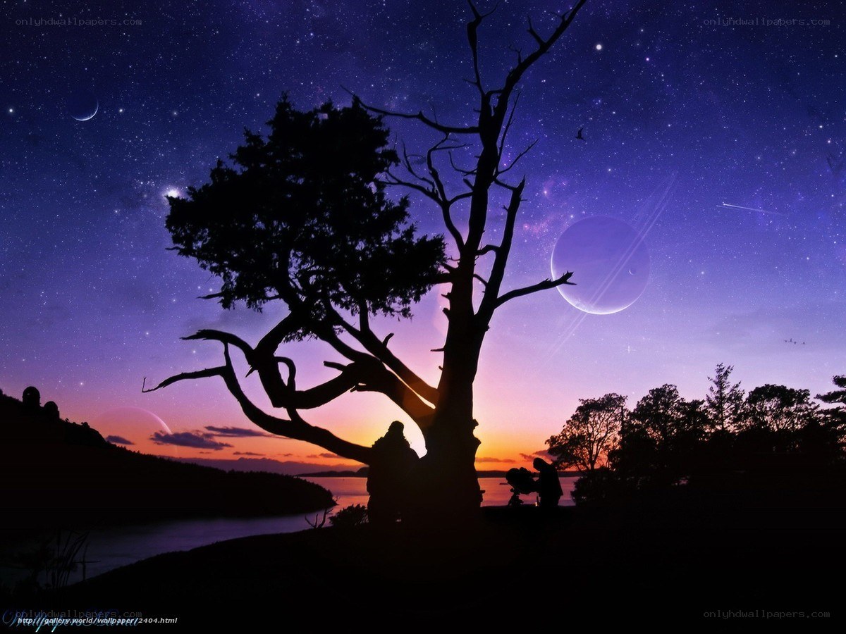 Stargazing under a starry sky