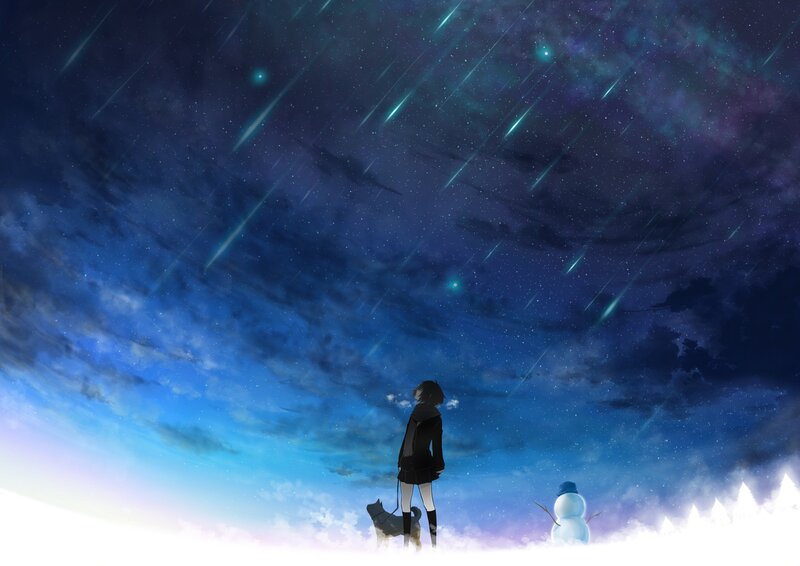Stargazing with a dog and snowman