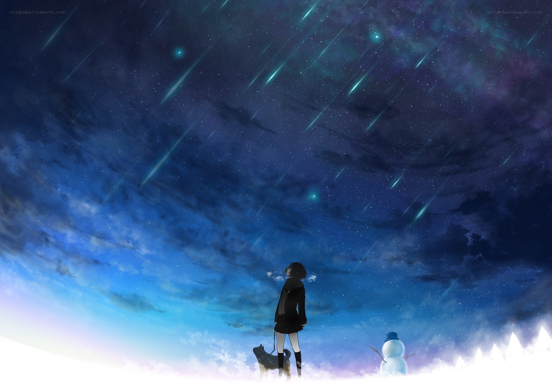 Stargazing with a dog and snowman