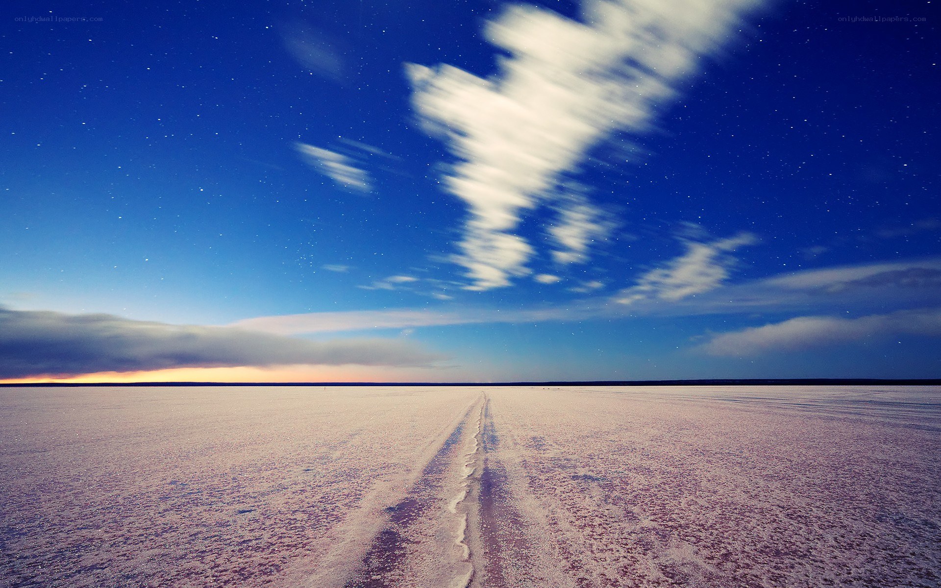 Starlit desert at night