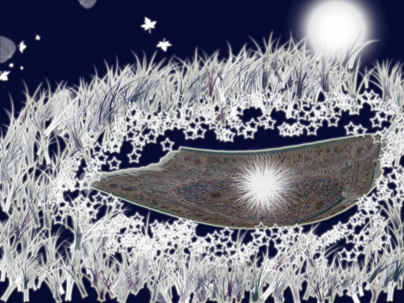 Starlit grass and glowing carpet