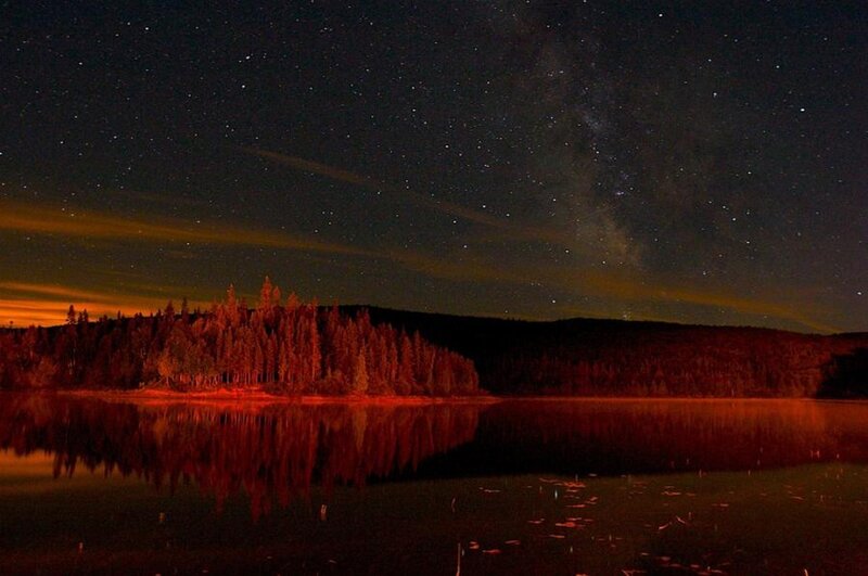 Starlit Lake and Forest