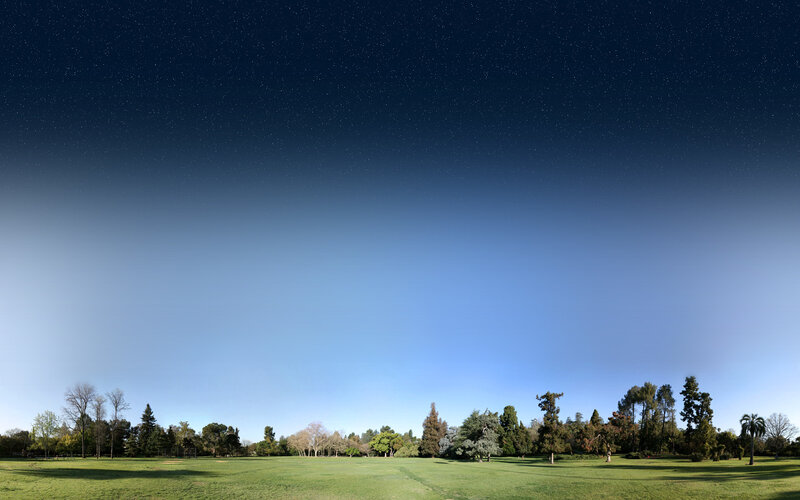 Starlit park at night