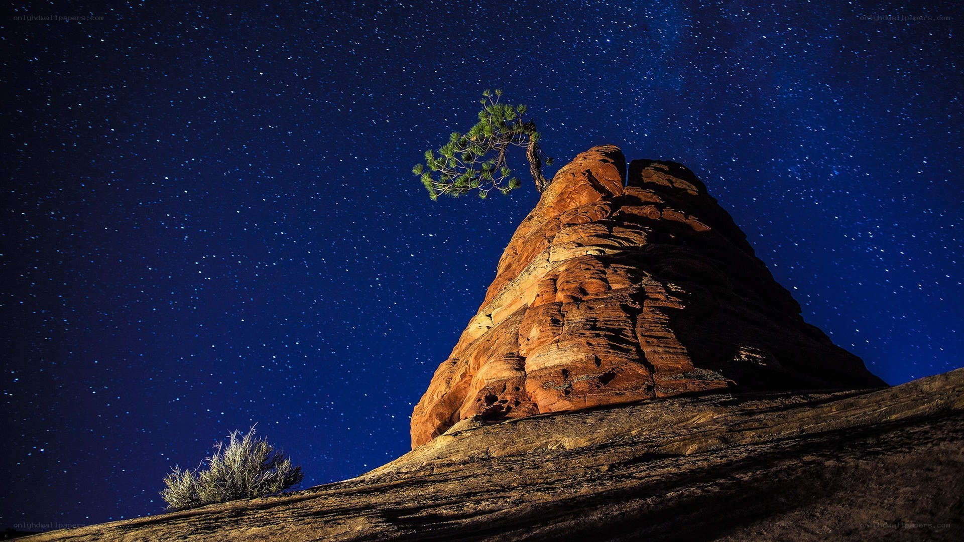 Starlit rock formation with tree