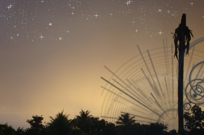 Starlit sky over palm trees