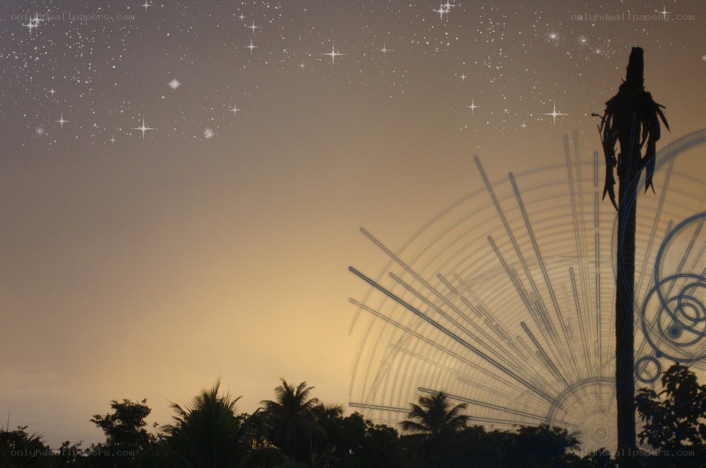 Starlit sky over palm trees