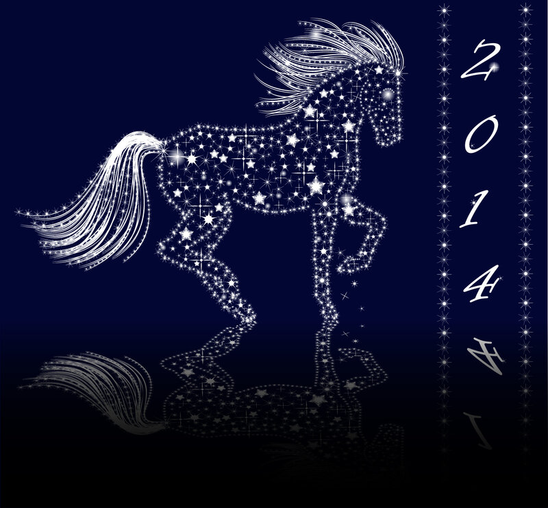 Starry Horse Silhouette